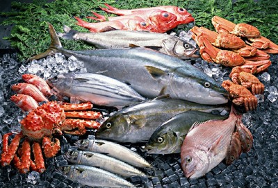 巴西水產(chǎn)品進(jìn)口報關(guān)行 冷凍螺進(jìn)口報關(guān) 進(jìn)來選擇你要的