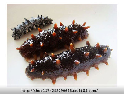 【大連海參自養(yǎng)自銷,高品質(zhì)大連刺參,全淡干海參 批發(fā)】?jī)r(jià)格,廠家,圖片,干制水產(chǎn)品,莆田市涵江區(qū)福盛食雜經(jīng)銷部-