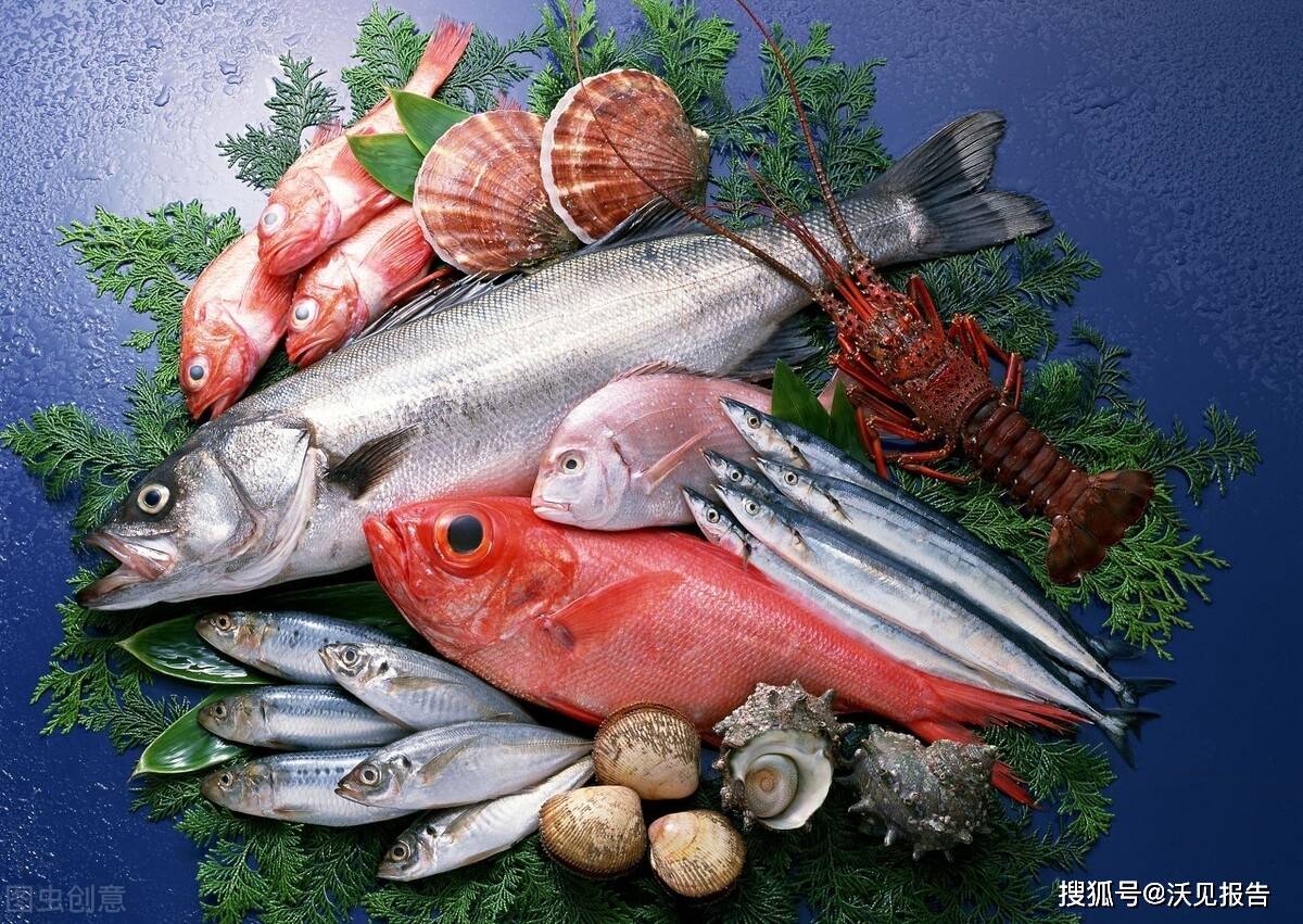 2020水產(chǎn)品加工行業(yè)分析報(bào)告_我國