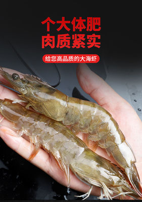 凈重4斤整箱蝦鮮活海鮮水產(chǎn)超大蝦基圍蝦活蝦鮮蝦白蝦海蝦大蝦鮮活速凍蝦