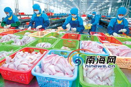 應(yīng)對(duì)金融危機(jī) 海南企業(yè)苦練內(nèi)功穩(wěn)步發(fā)展