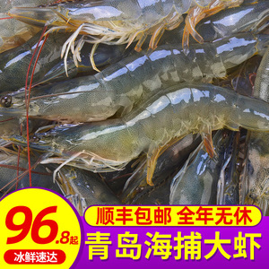 海白蝦活