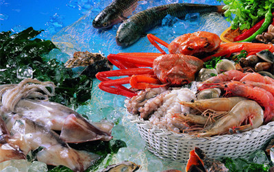 水產(chǎn)海鮮冷藏庫丨水產(chǎn)海鮮冷凍庫丨水產(chǎn)海鮮保鮮庫