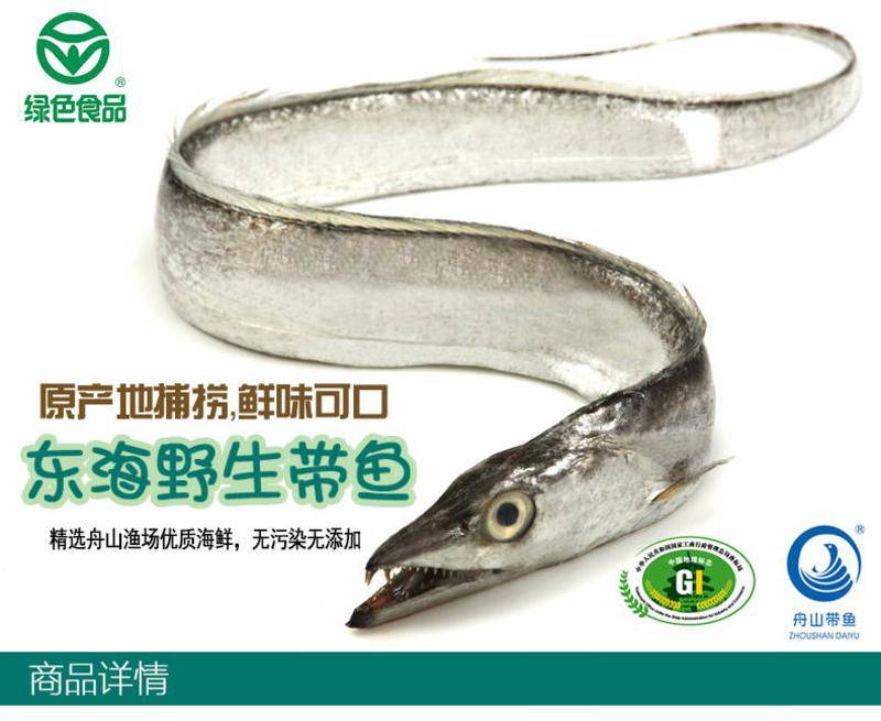 【奧瑞】舟山海鮮水產(chǎn)鮮活新鮮東海捕撈野生大帶魚(yú)小眼睛冰鮮刀魚(yú)1斤2條