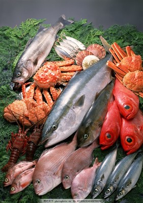 新鮮魚(yú)蝦貝蟹類水生物
