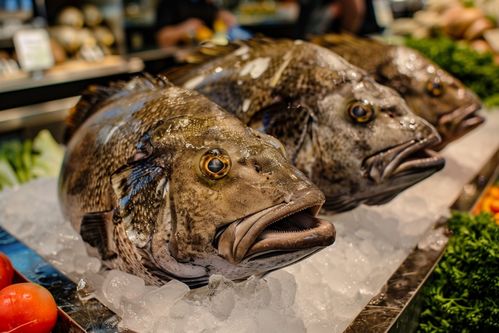 生鮮海鮮水產(chǎn)銀鱈魚(yú)食材 攝影圖