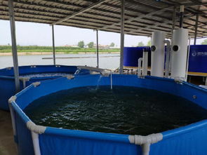 工廠化水產(chǎn)養(yǎng)魚(yú)技術(shù) 水產(chǎn)養(yǎng)魚(yú)設(shè)備 智慧農(nóng)研 優(yōu)質(zhì)服務(wù)