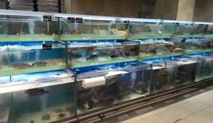 生鮮水產(chǎn)、蔬果類商品保鮮實戰(zhàn)指導(保鮮陳列、保鮮技巧、處理手法)