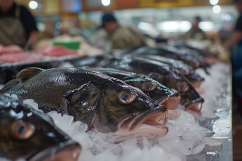 生鮮海鮮水產(chǎn)鮮凍銀鱈魚 攝影圖