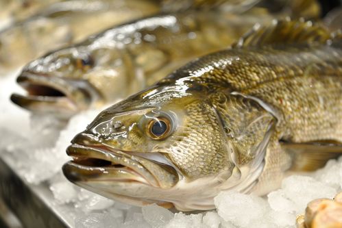 生鮮海鮮水產(chǎn)鱈魚素材 攝影圖
