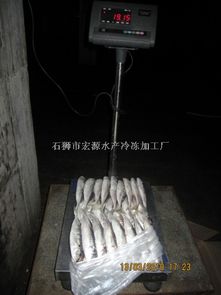 巴浪魚 福建帶魚 福建魷魚 福建冷凍蝦 福建竹莢魚 福建沙丁魚 福建鮐魚 印尼釣帶 印尼魷魚 福建巴浪魚 宏源水產(chǎn)冷凍加工廠 福建帶魚,福建鮐魚,福建魷魚