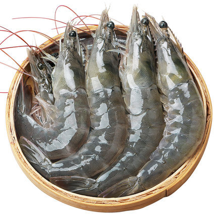 大蝦鮮活海鮮水產(chǎn)青島超大特冷凍基圍蝦海蝦鮮蝦青蝦速凍活蝦對(duì)蝦